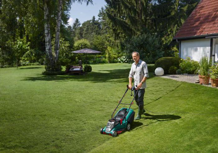 kaasuleikkuri bensiinin käsikirja