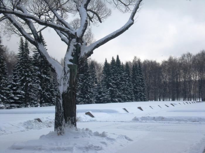 Piskarevskoe hautausmaa: miten päästä