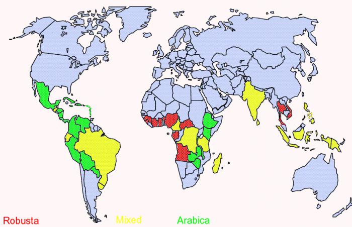 maita, joissa kahvia kasvatetaan 
