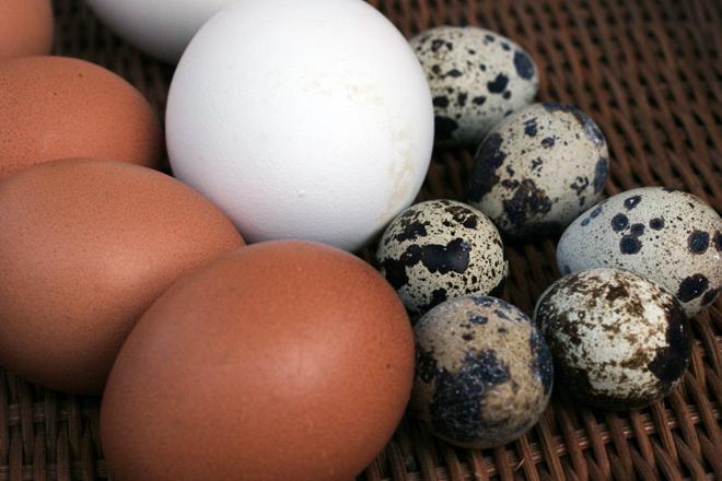 Joitakin suosituksia munien tuoreuden määrittämiseksi