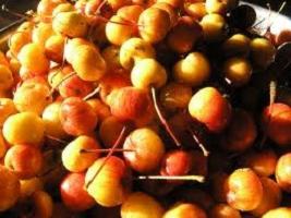 Hillo paratiisin omena: resepti tuoksuva aihi talvella