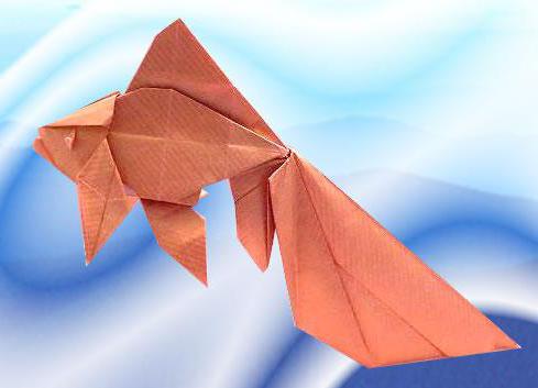 Goldfish origami. Järjestelmä