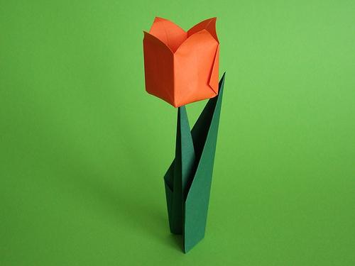 origami tulppaanit