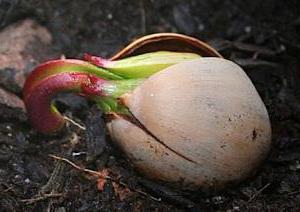 Tarinoita lapsille. 