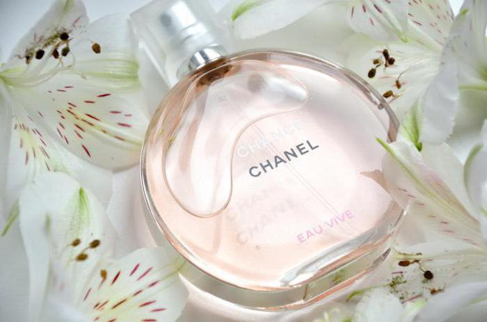 chanel mahdollisuus viv