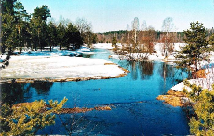 Mitä ihmiset tekevät Oka-joen suojelemiseksi