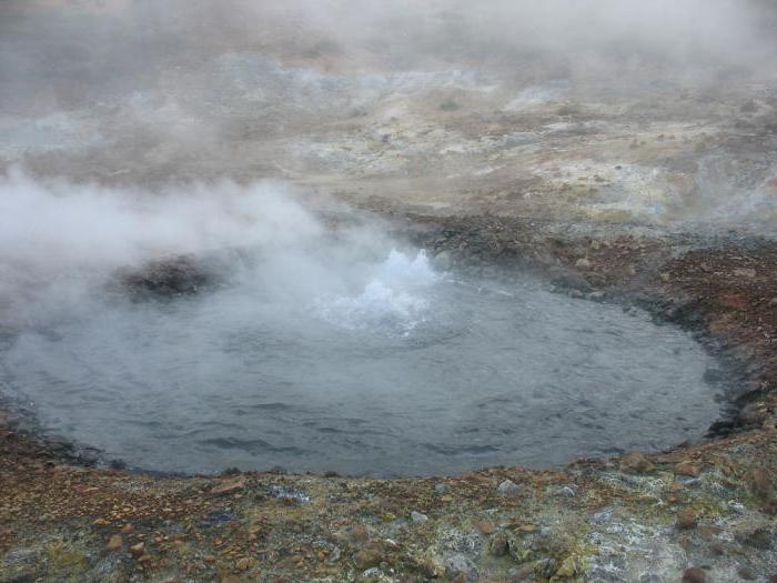 Kamchatka-Kuril-järvi: kuvaus, ominaisuudet, luonto, kasvisto ja eläimistö