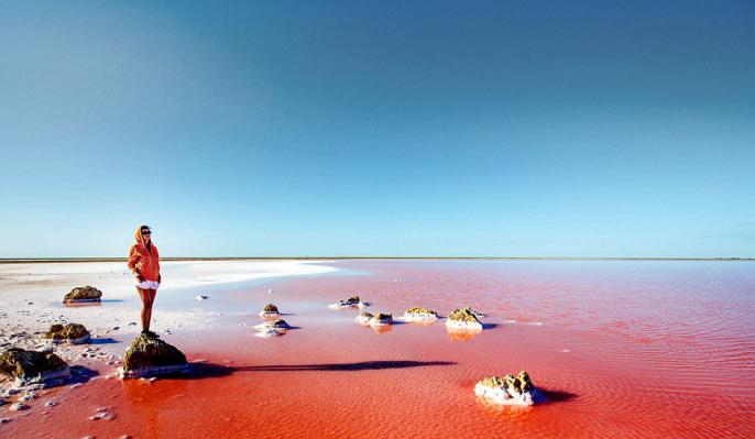 Salt Pink Lake Krimin