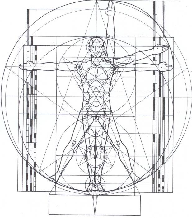 Vitruvian mies