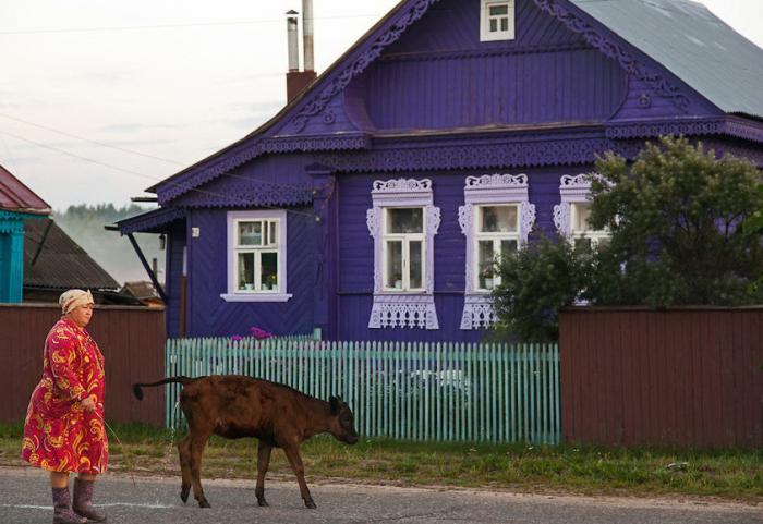 Venäjän väestö