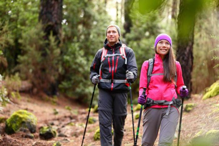 essee trekking talvimetsässä