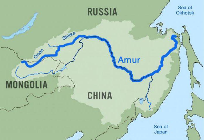 Amur-joki: taloudellinen käyttö ja kuvaus. Amur-joki - kuva