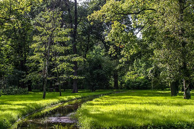 Kasvitieteellinen puutarha Pietarissa: valokuva, hinta ja aikataulu