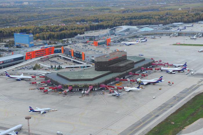 Tutkimus Sheremetyevon lentokenttäsuunnitelmasta - matkustajien avustaminen