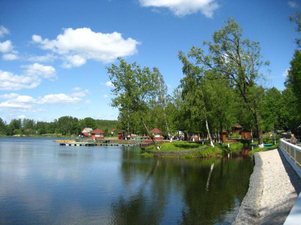 Koltushskoe-järvi on erinomainen paikka levolle ja kalastukselle (Leningradin alue)