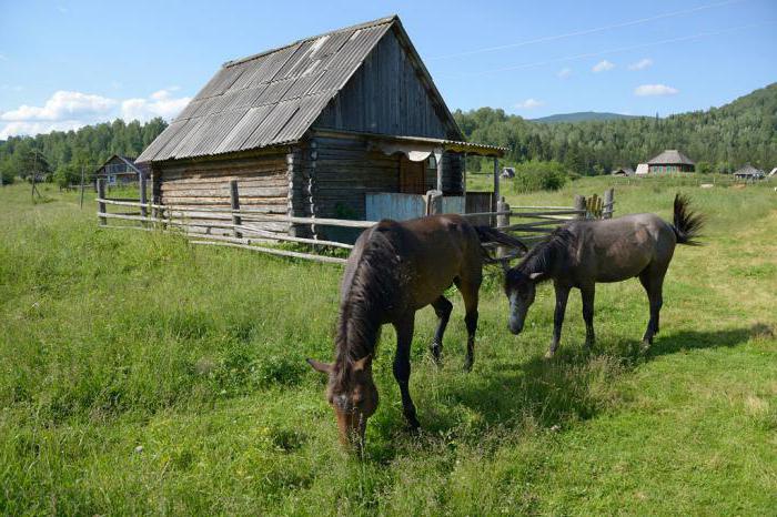 Kansallinen Shorsky-puisto (Tashtagol-alue, Kemerovon alue): kuvaus, matkailureitit