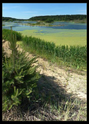 Ennennäkemätön ilotulitus levosta - Blue Lakes Lukhovitsy