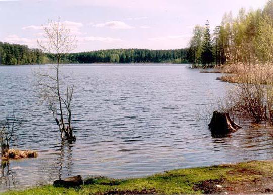 pike lake komarovo kartta