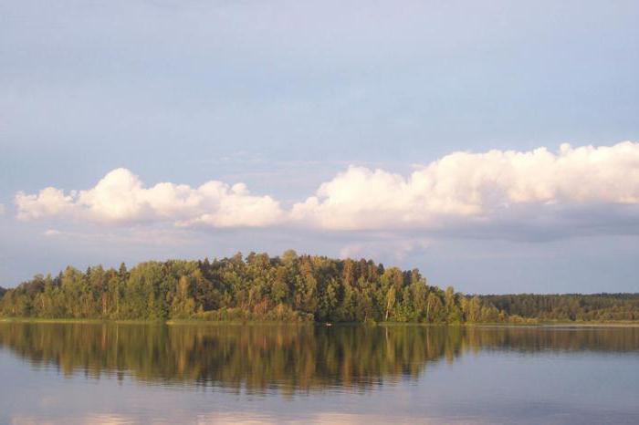 Lake Sapsho: kuvaus, kuva. Menkää järvellä