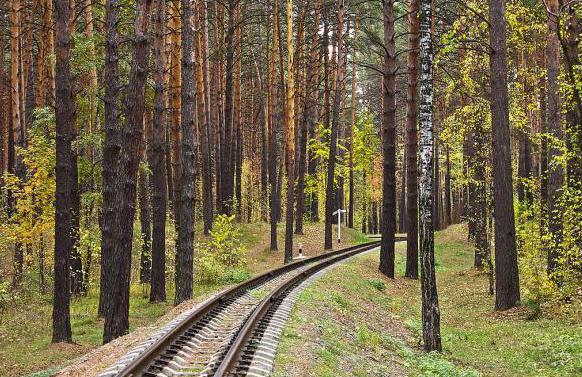 Käydätkö Novosibirskissa? Zaeltsovskyn puisto ansaitsee erityistä huomiota
