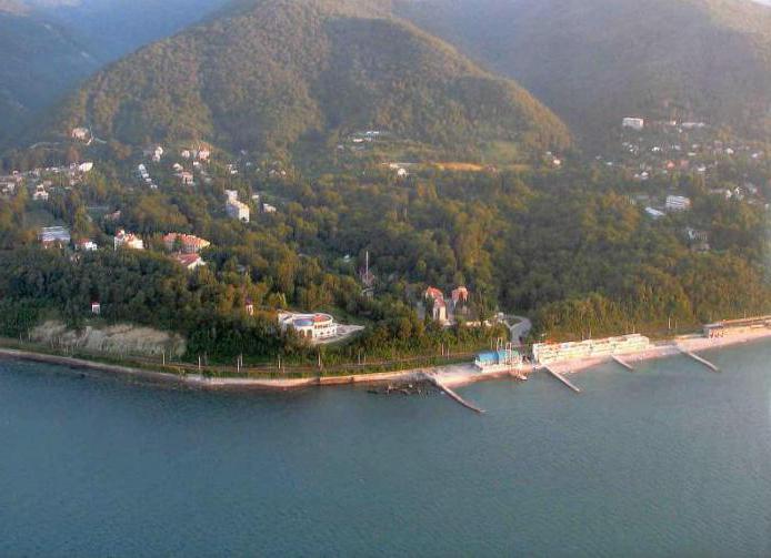 Sochi, "South" -sairaala: arvostelut