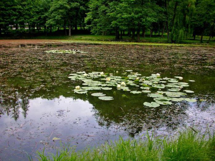 Schoenbornin linna Mukachevossa