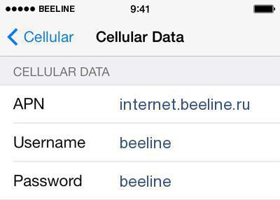 miten perustaa internetin iphone 5s beeline